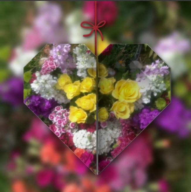 Screenshot_2015-06-15-20-59-26_1.jpg image